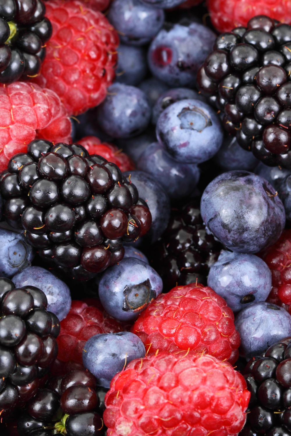 Berry Picking Time