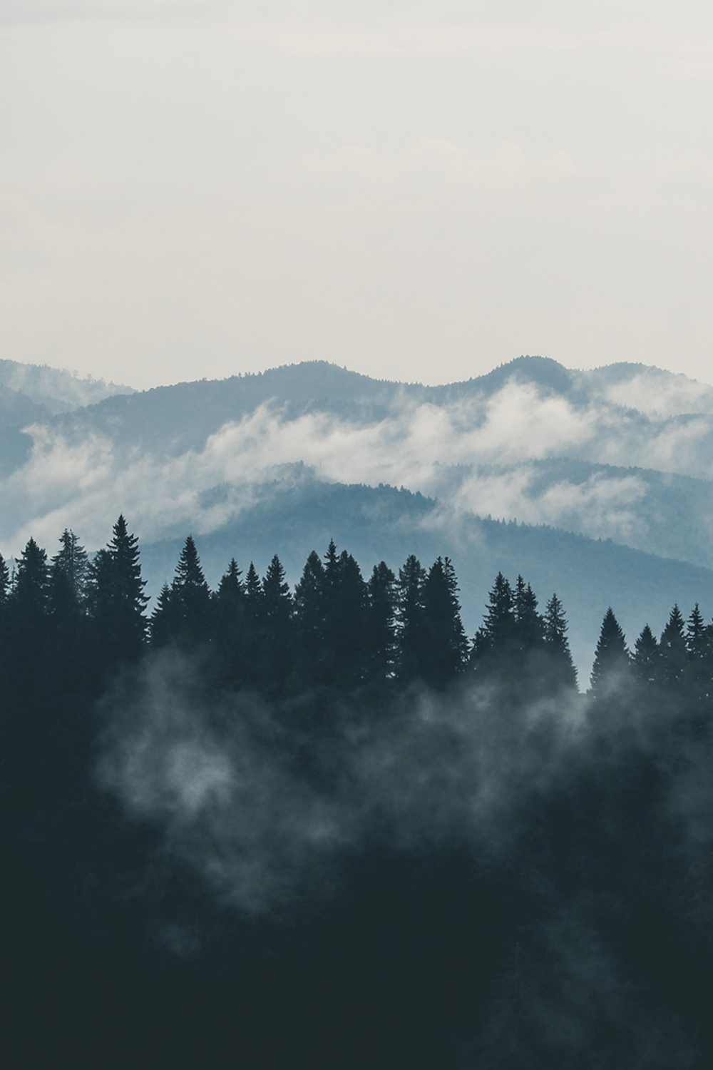 An Evening on the Mountain