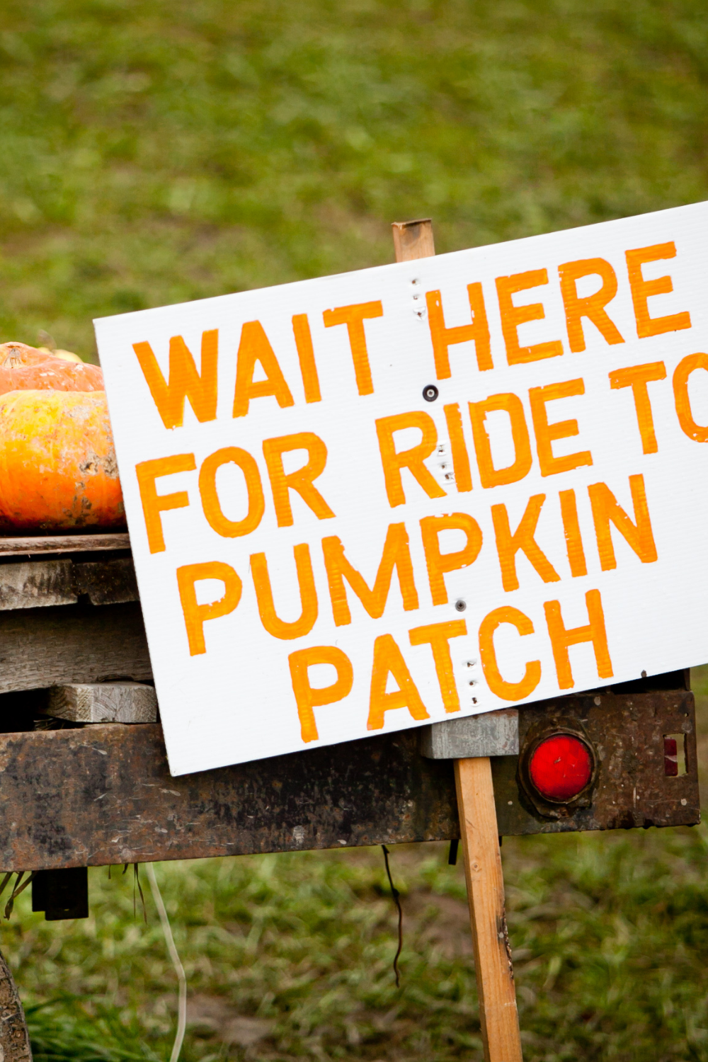 Pumpkin patch sign