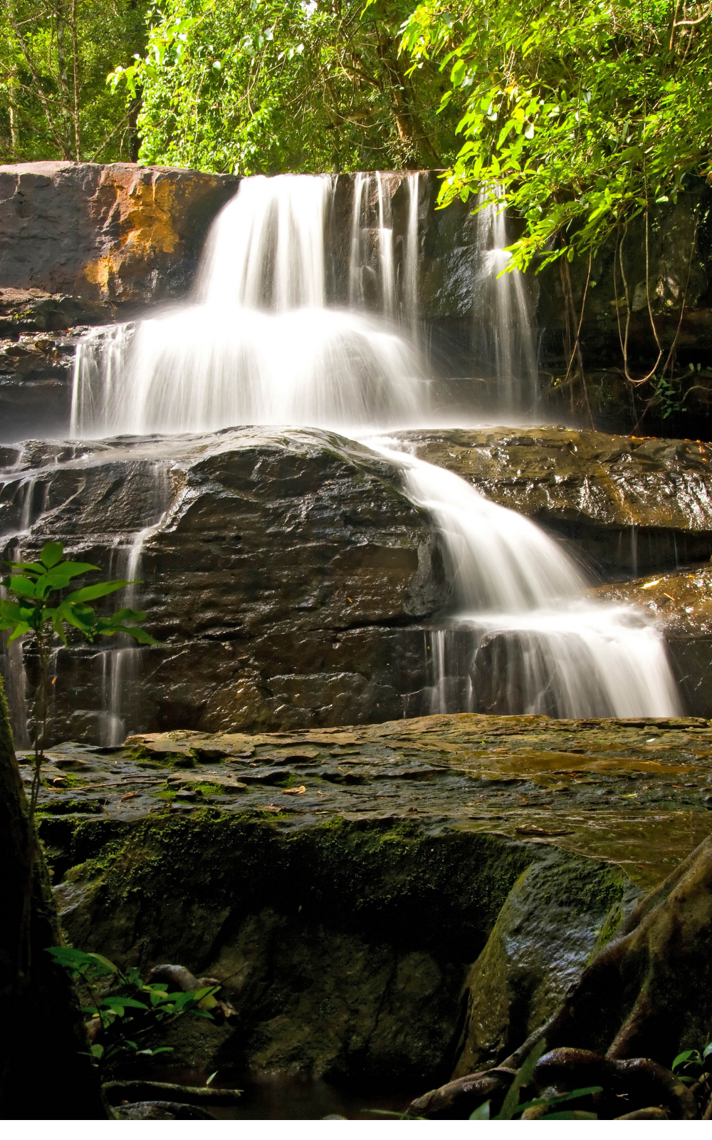 Hiking To the Falls in Bella Vista