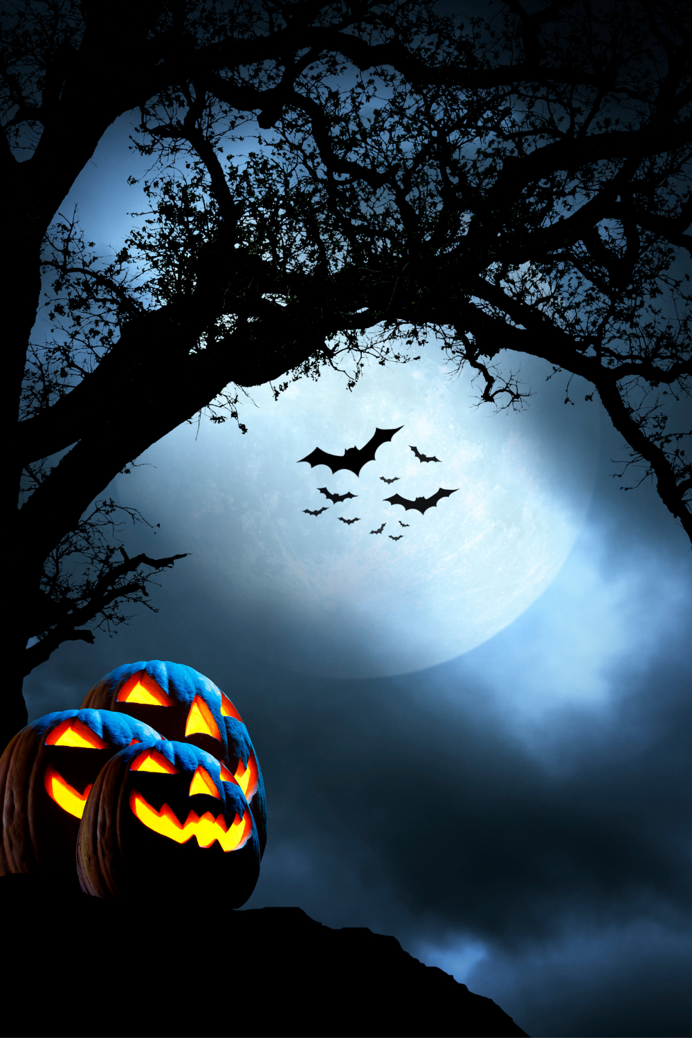 Halloween! Pumpkins and Witches and Bats, Oh My!