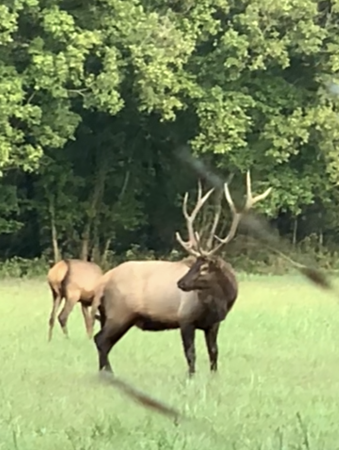 Boxley Valley, Arkansas